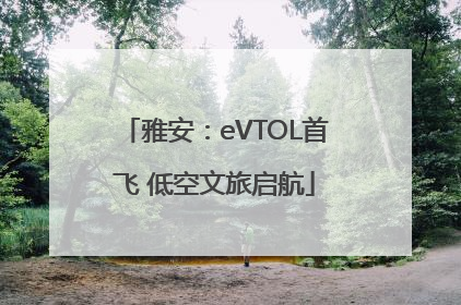 雅安：eVTOL首飞 低空文旅启航