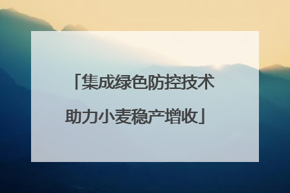 集成绿色防控技术助力小麦稳产增收