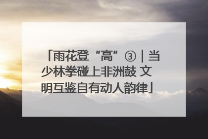 雨花登“高”③｜当少林拳碰上非洲鼓 文明互鉴自有动人韵律
