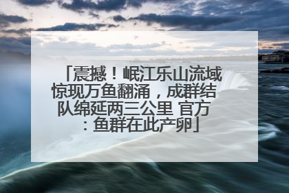 震撼！岷江乐山流域惊现万鱼翻涌，成群结队绵延两三公里 官方：鱼群在此产卵