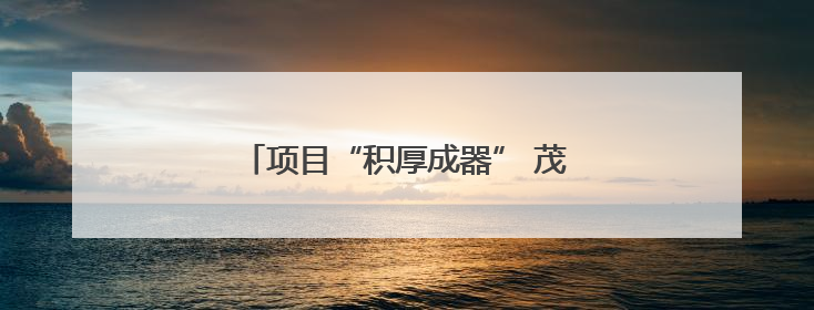项目“积厚成器” 茂名县域经济释放新动能