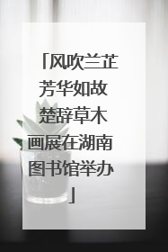 风吹兰芷 芳华如故 楚辞草木画展在湖南图书馆举办