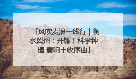 风吹麦浪一线行｜衡水冀州：开镰！科学种植 奏响丰收序曲