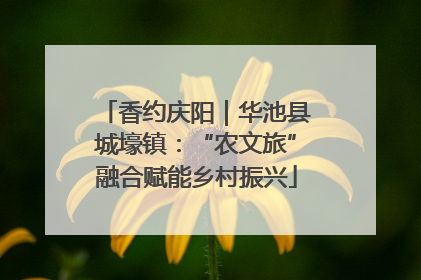 香约庆阳｜华池县城壕镇：“农文旅”融合赋能乡村振兴