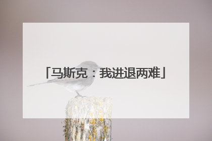 马斯克：我进退两难