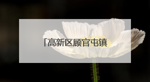 高新区顾官屯镇：供销大食堂开启老年人幸福生活