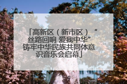 高新区（新市区）“丝路回响 爱我中华”铸牢中华民族共同体意识音乐会启幕