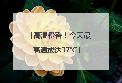 高温橙警！今天最高温或达37℃