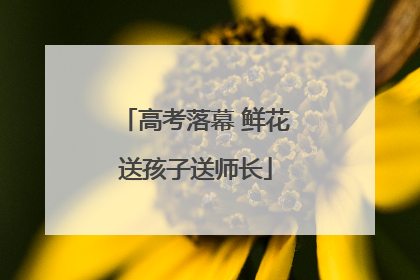 高考落幕 鲜花送孩子送师长
