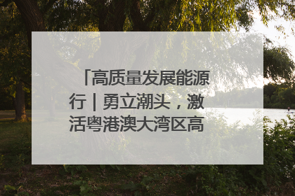 高质量发展能源行｜勇立潮头，激活粤港澳大湾区高质量发展动力源