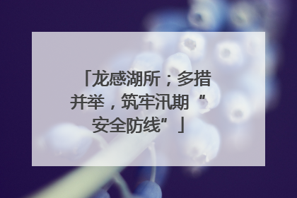 龙感湖所；多措并举，筑牢汛期“安全防线”