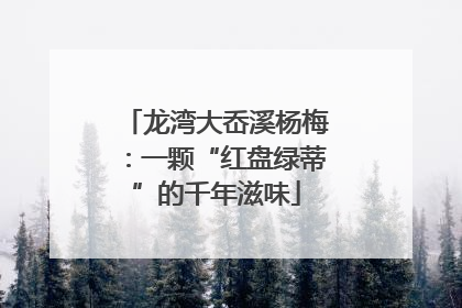 龙湾大岙溪杨梅：一颗“红盘绿蒂”的千年滋味