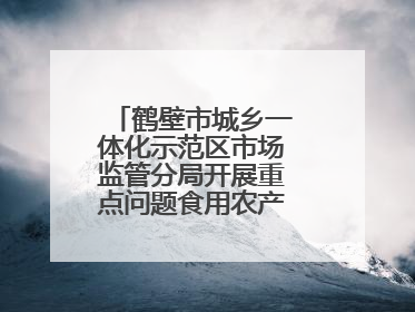 鹤壁市城乡一体化示范区市场监管分局开展重点问题食用农产品专项整治