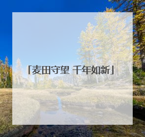 麦田守望 千年如新