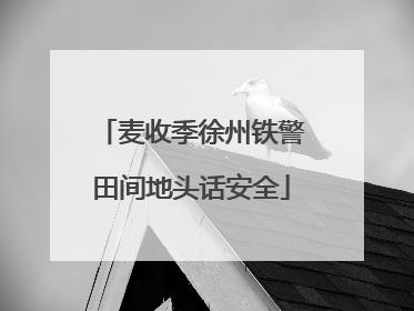 麦收季徐州铁警田间地头话安全