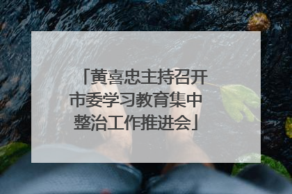 黄喜忠主持召开市委学习教育集中整治工作推进会