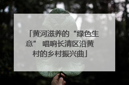 黄河滋养的“绿色生意” 唱响长清区沿黄村的乡村振兴曲
