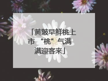 黄陂早鲜桃上市 “桃”气满满迎客来