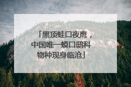 黑顶蛙口夜鹰，中国唯一蟆口鸱科物种现身临沧