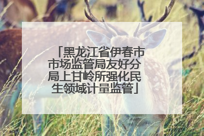 黑龙江省伊春市市场监管局友好分局上甘岭所强化民生领域计量监管