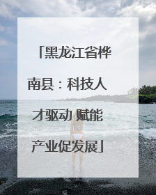 黑龙江省桦南县：科技人才驱动 赋能产业促发展