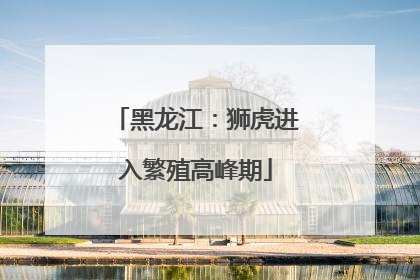 黑龙江：狮虎进入繁殖高峰期