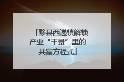 黟县西递镇解锁产业“丰景”里的共富方程式