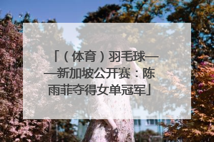 （体育）羽毛球——新加坡公开赛：陈雨菲夺得女单冠军