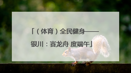 （体育）全民健身——银川：赛龙舟 度端午