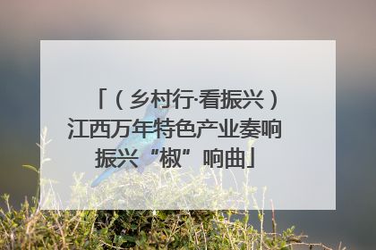 （乡村行·看振兴）江西万年特色产业奏响振兴“椒”响曲