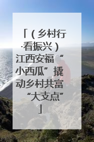 （乡村行·看振兴）江西安福“小西瓜”撬动乡村共富“大支点”