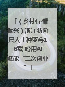 （乡村行·看振兴）浙江新阶层人士种蓝莓16载 盼用AI赋能“二次创业”