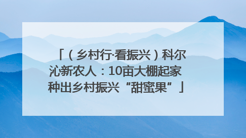 （乡村行·看振兴）科尔沁新农人：10亩大棚起家种出乡村振兴“甜蜜果”