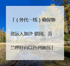（外代一线）确保物资运入加沙 德国、芬兰呼吁向以色列施压