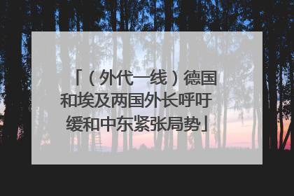 （外代一线）德国和埃及两国外长呼吁缓和中东紧张局势