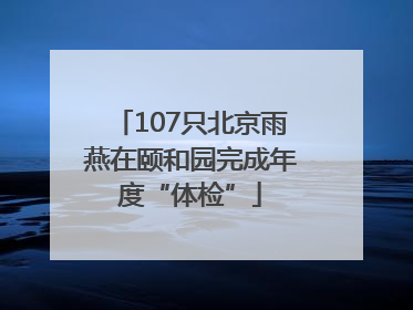 107只北京雨燕在颐和园完成年度“体检”