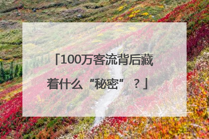 100万客流背后藏着什么“秘密”？