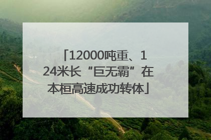 12000吨重、124米长“巨无霸”在本桓高速成功转体
