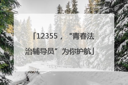 12355，“青春法治辅导员”为你护航