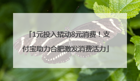 1元投入撬动8元消费！支付宝助力合肥激发消费活力