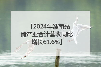 2024年淮南光储产业合计营收同比增长61.6%