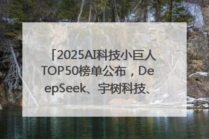 2025AI科技小巨人TOP50榜单公布，DeepSeek、宇树科技、蘑菇车联等企业荣誉上榜