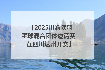 2025川渝陕羽毛球混合团体邀请赛在四川达州开赛