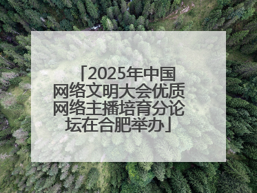 2025年中国网络文明大会优质网络主播培育分论坛在合肥举办