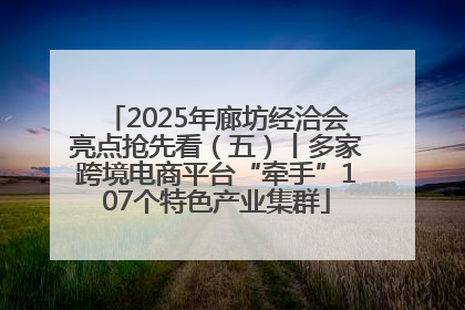 2025年廊坊经洽会亮点抢先看（五）丨多家跨境电商平台“牵手”107个特色产业集群