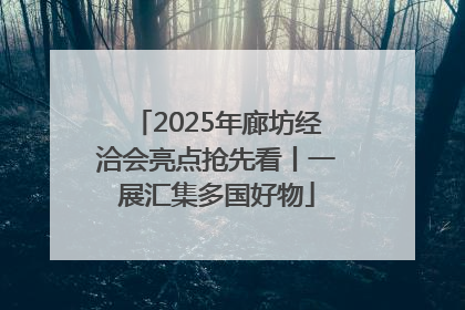 2025年廊坊经洽会亮点抢先看丨一展汇集多国好物