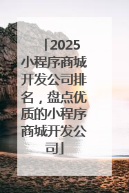 2025小程序商城开发公司排名，盘点优质的小程序商城开发公司