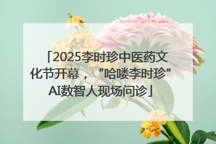 2025李时珍中医药文化节开幕，“哈喽李时珍”AI数智人现场问诊