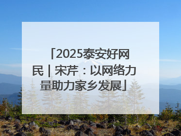 2025泰安好网民｜宋芹：以网络力量助力家乡发展