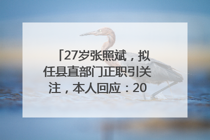 27岁张照斌，拟任县直部门正职引关注，本人回应：2019年选调生，此前负责公文相关工作